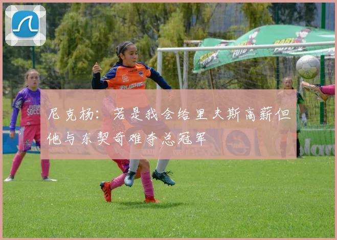 尼克杨：若是我会给里夫斯高薪但他与东契奇难夺总冠军